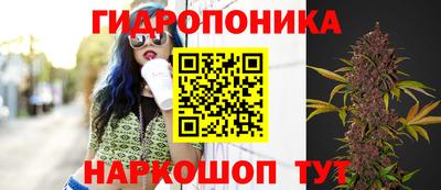 МДПВ Будённовск